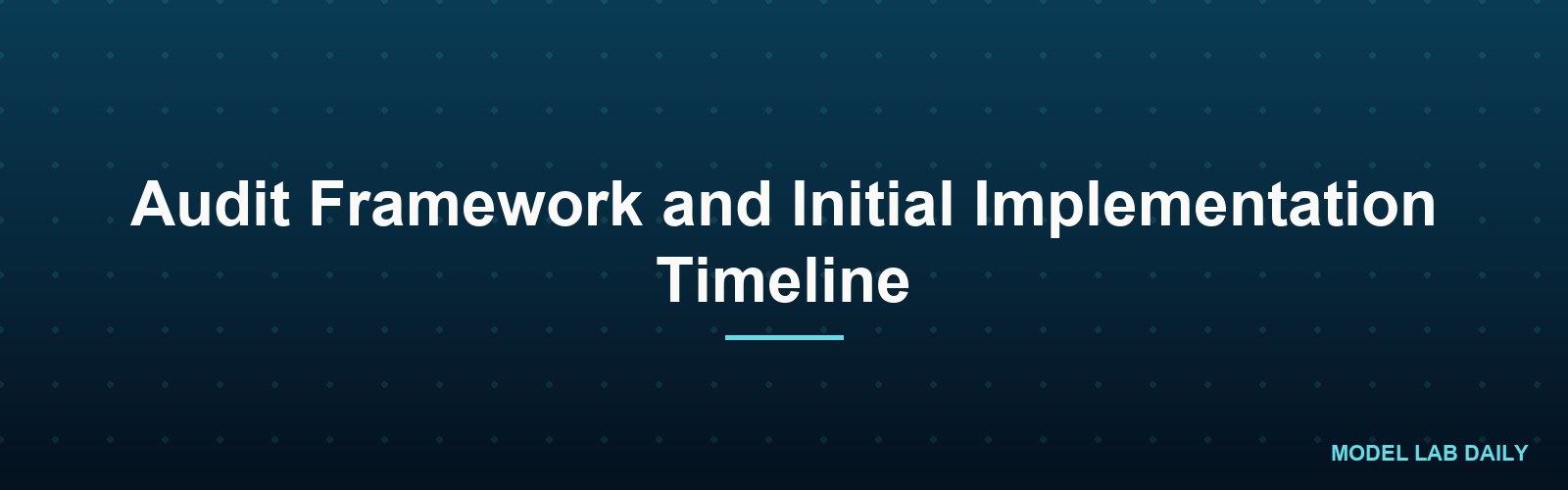 Audit Framework and Initial Implementation Timeline