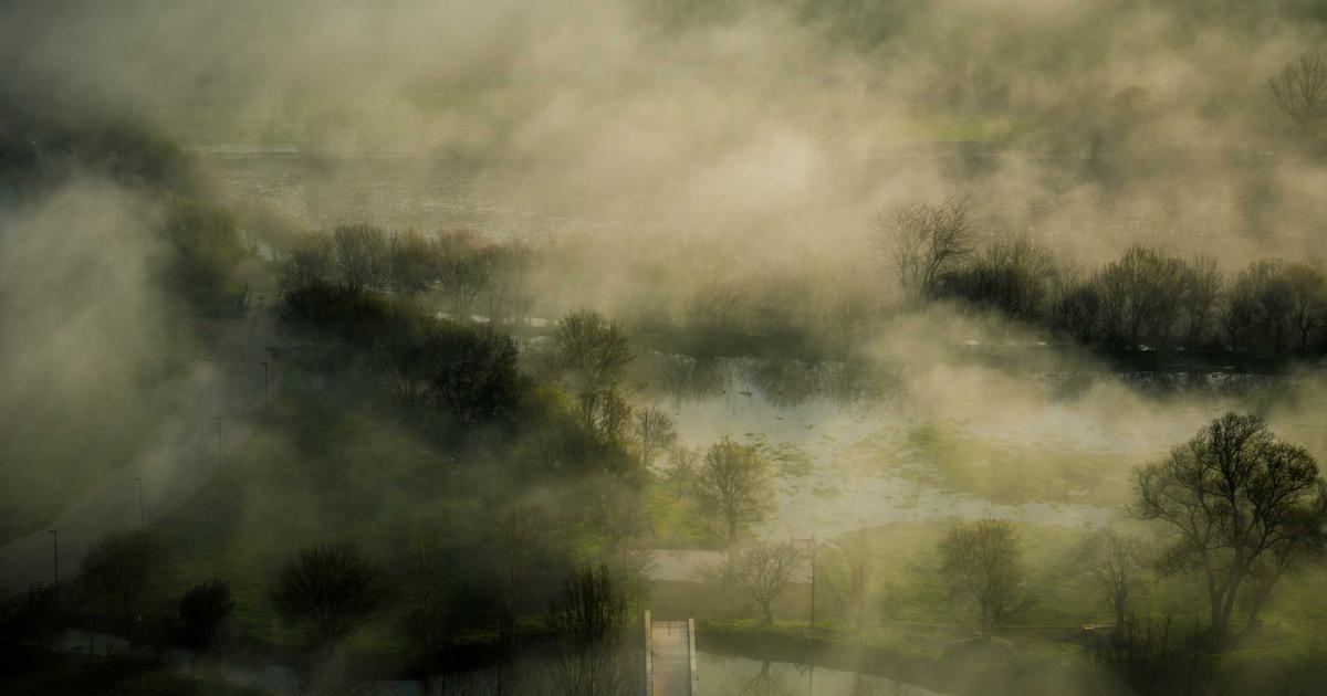 AI Tools Showdown: Comparing the Latest Code Generation Assistants on Real Developer Workflows